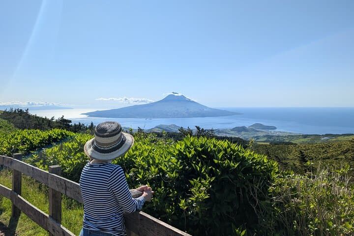 Customizable Full Day Private Tour of Faial
