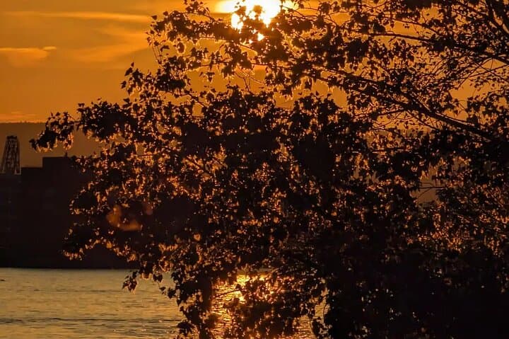 Evening walking tour of Mainz Rhine bank and Old Town