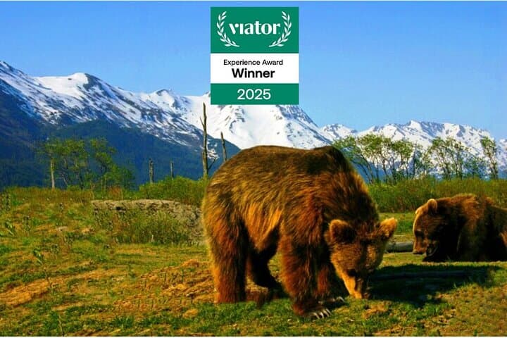 סיור הרפתקאות צפייה על הקרח וחיים פראיים באנקורג