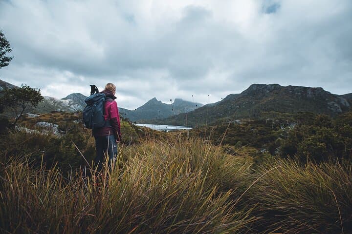 Cradle Mountain Half Day Dove Lake Guided Tour with Lunch