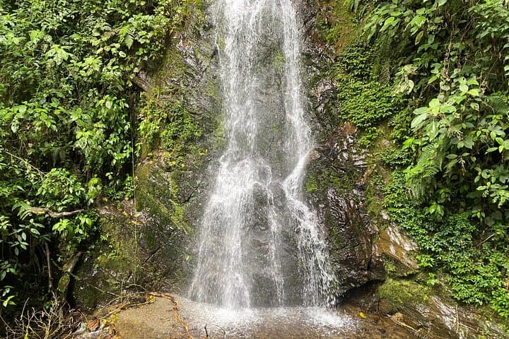 Hiking through the Cocora Valley Waterfalls