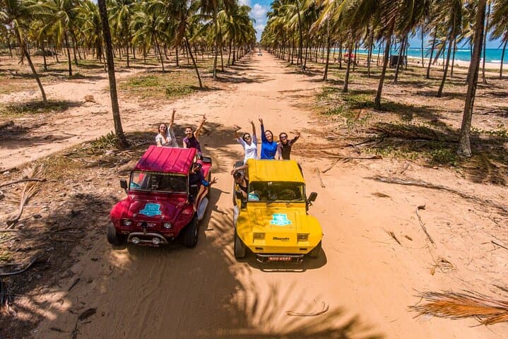 Buggy Tour Ponta to Ponta Port DE Galinhas