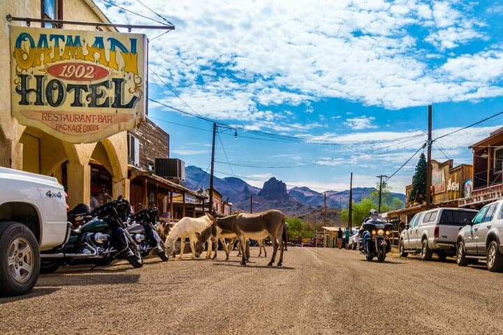 Historic Route 66 Bus Tour to Oatman