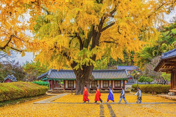 Jeonju Hanok Village Full-Day Tour: Jangtaesan Autumn Foliage