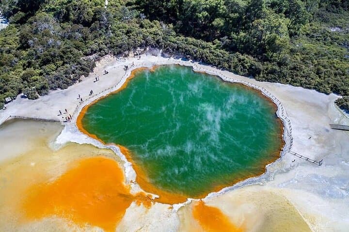 Ex Hamilton: TRIPLE DEAL Wai O Tapu, Redwood Forest & Blue Spring
