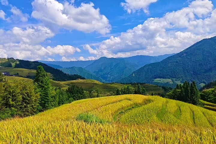 Longji Rice Terraces with Minority Village Private Day Tour