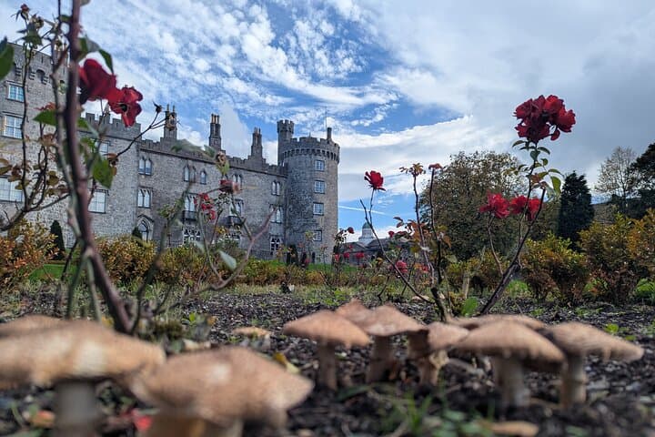 Kilkenny from Medieval to Modern City. Private Walking Tour