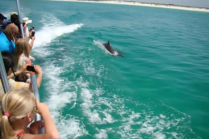 Pensacola Beach Dolphin and Scenic Tour
