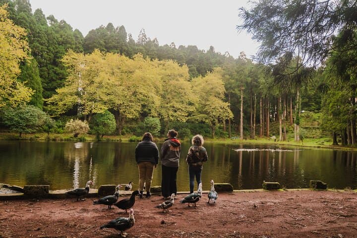 From Angra: Terceira Island Full-Day Tour (Private)