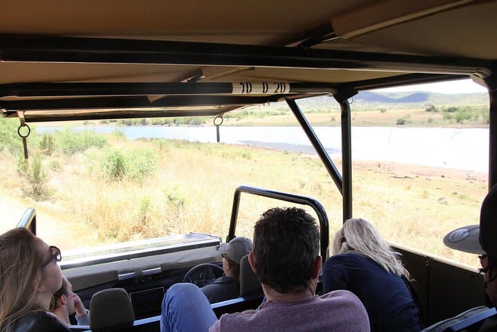 Pilanesberg National Park 6 Hour Safari from Sun City