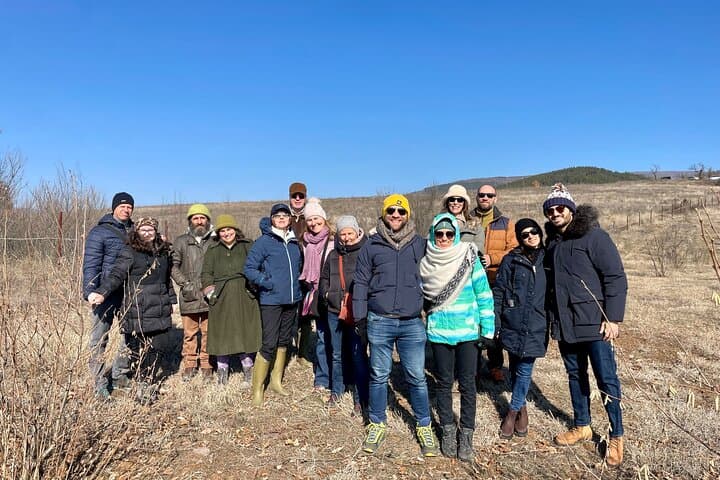 ציד טרפלים בקיוסטנדיל