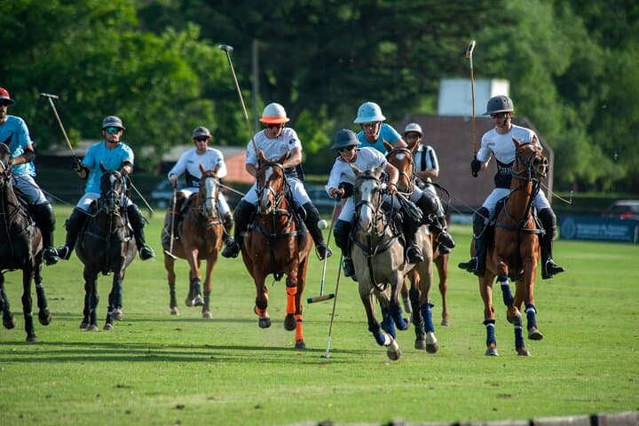 Polo Lessons in Mar del Plata: Learn and Improve Your Game
