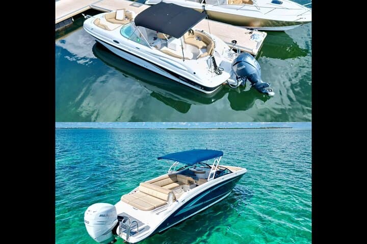 סיור פרטי של חצי יום בעיר הסטינגרניים, שנורקלינג וחוף כוכבי הים