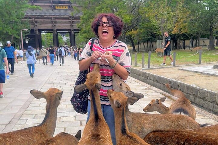 חווית מאצ'ה אותנטית קיושו ונארה של המורשת העולמית