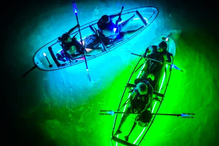 סיור קיאקים זוהרים רוקפורט - ליטל ביי