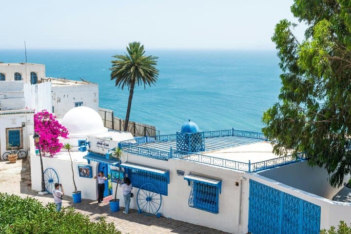 Private tour: Medina,Carthage ,Sidi Bou Said, Bardo Museum+lunch
