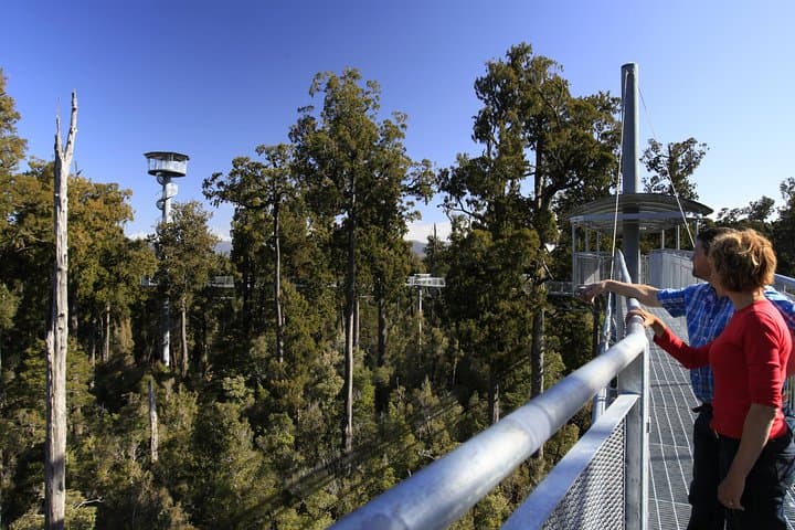 West Coast Treetop Walk