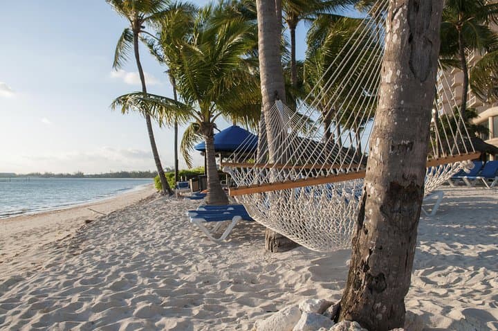 סיור ב-Coral Vita וביקור במועדון חוף בננה ביי