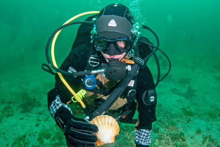 חוויה של צלילה עם מכונת צלילה למתחילים