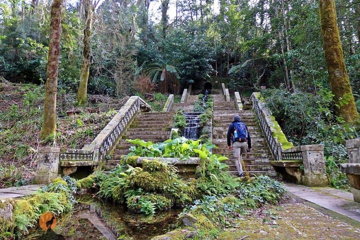 הרפתקה דרך היער והארמון של בוסקו - קוימברה