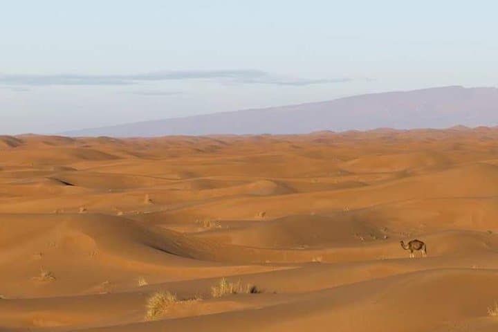 2 Days/1 Night Desert Tour From Mhamid to Erg Chigaga