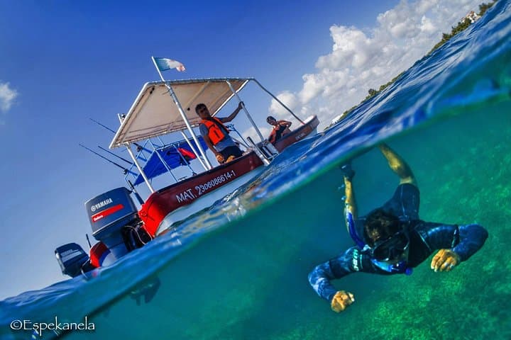 Mahahual Snorkeling Adventure: Turtle Encounter