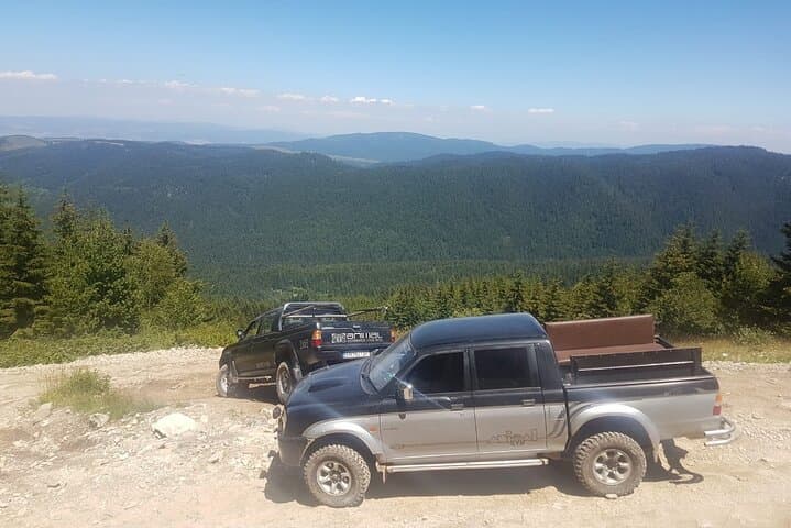 ספארי גיפים ורנה, אלבנה, בדי זהב וקרנקובו