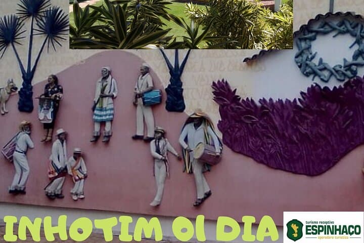 Instituto Inhotim 01 dia