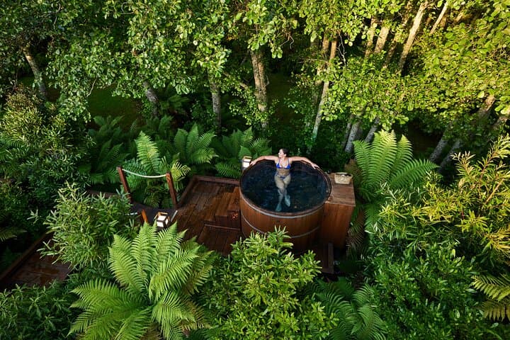 Rotorua Forest Hot Tub Soak at Secret Spot