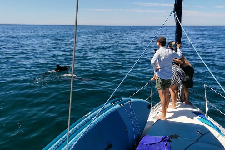 Coastal Tour on a Luxury Sailing Yacht - Vilamoura(Max 12 Guests)