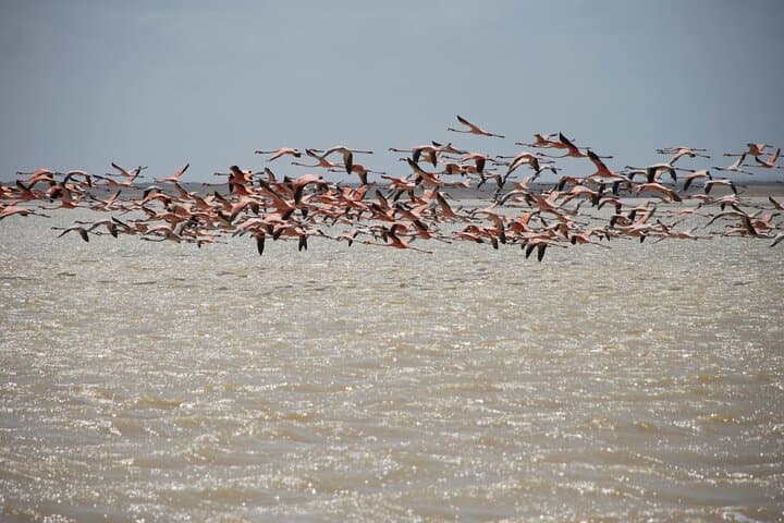 7 ימים 6 לילות סיור מסלול צילום אלטה גואיחה עם איסוף