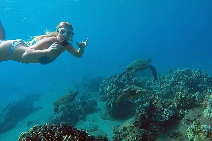 San Juan Guided Turtle Snorkel Tour and Complimentary Videos