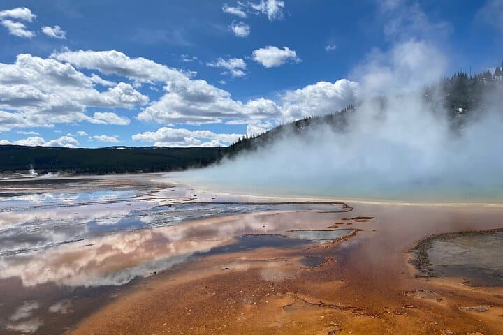 Yellowstone Lower Loop Tour | Wildlife & Hot Springs | PRIVATE