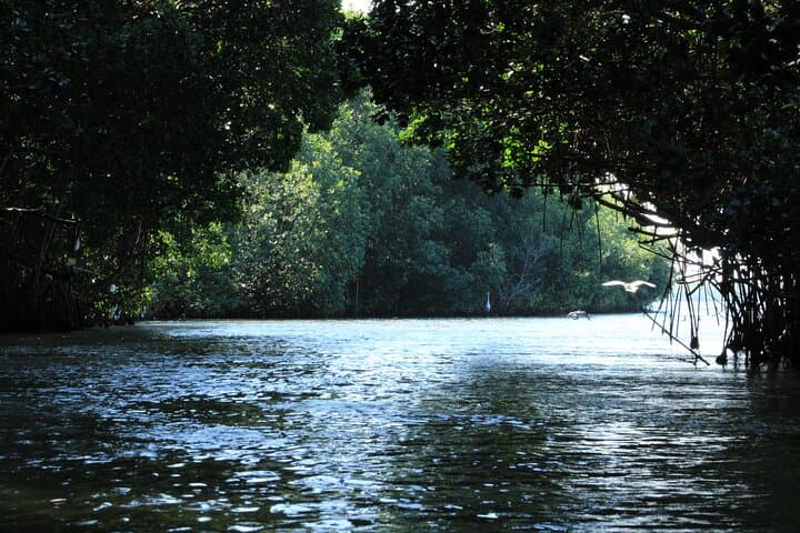 מסע אחר הצהריים של צ'קאוואה