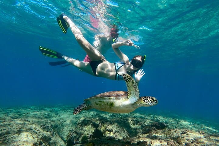 הרפתקת שנורקלינג באגואדילה