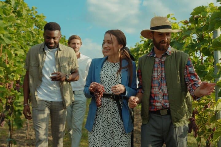 Grape Escapes Wine Full-Day Private Tour in Ithaca