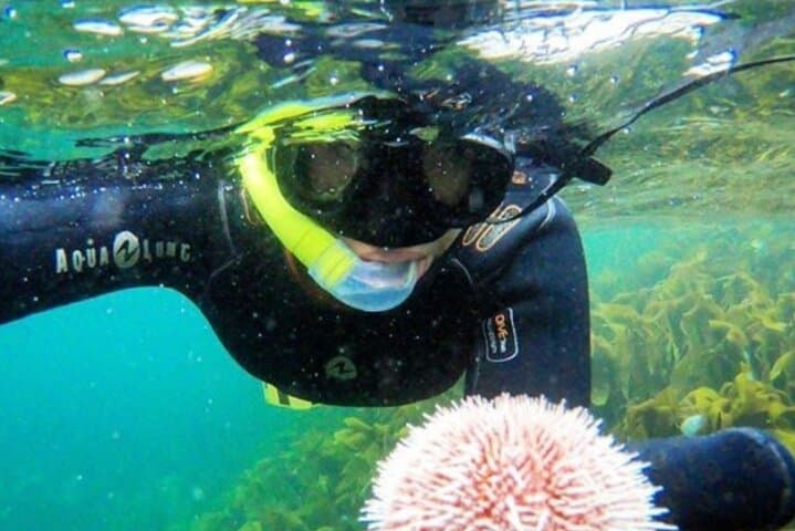 Family Snorkeling Tour