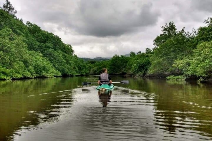 Kayaking to the mangroves