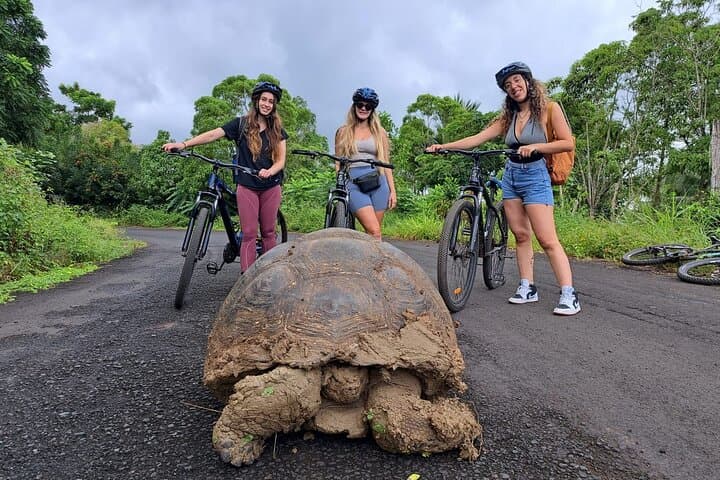BiciTour Giant Turtles and Lava Tunnel in Galapagos