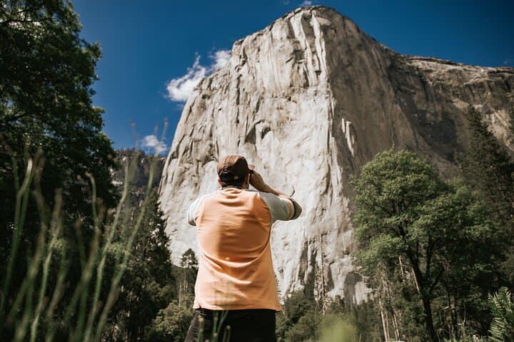 Yosemite Highlights & Giant Sequoias Day Tour from San Francisco