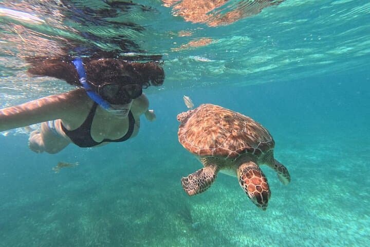 Costa Maya, snorkeling on the reef with fish, looking for turtles