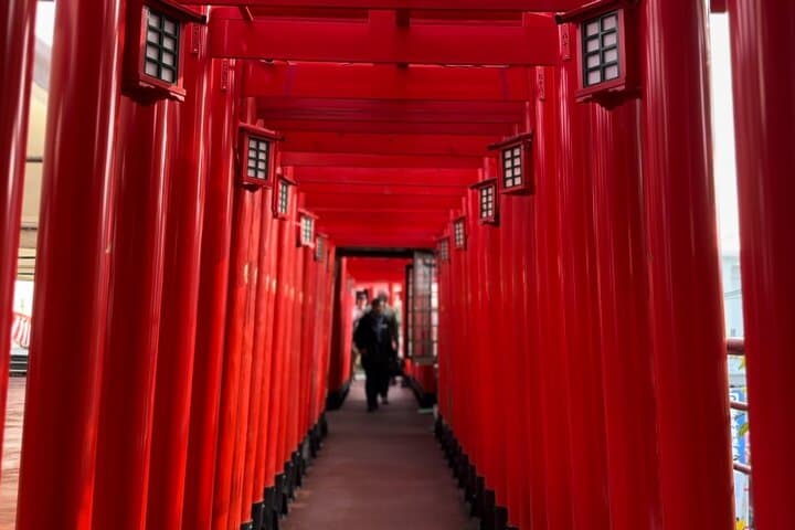 סיור רכיבה על אופניים במקדשי המזלות וסמטאות נהא