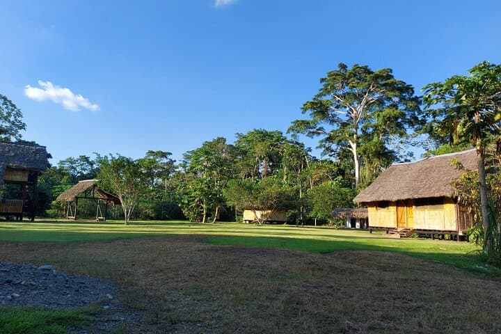 סיורי אמזון 3 ימים פארק יאסוני ושמורת לימונקוחה.