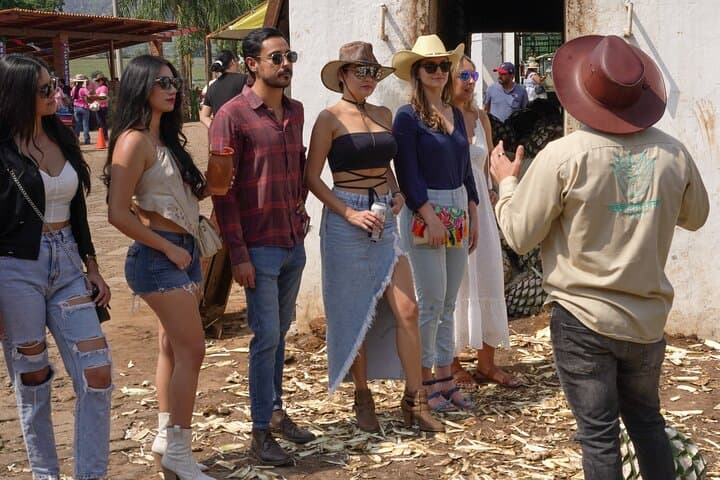 Full Day Tour to Tequila and Amatitán with Fun and Culture