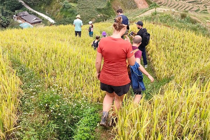 Full Day Private Trekking Mu Cang Chai