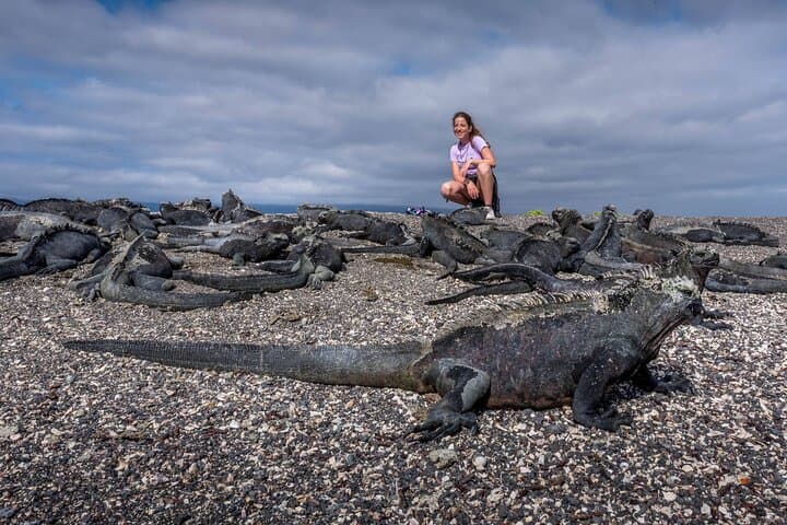 ISABELA II ISLANDS OF FIRE ADVENTURE - NORTHWESTERN (Thurs-Mon)