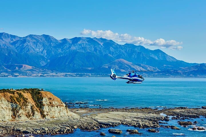 צפייה בלוויתנים בקייקורה - הרפתקה אולטימטיבית של שעה ועשרים דקות