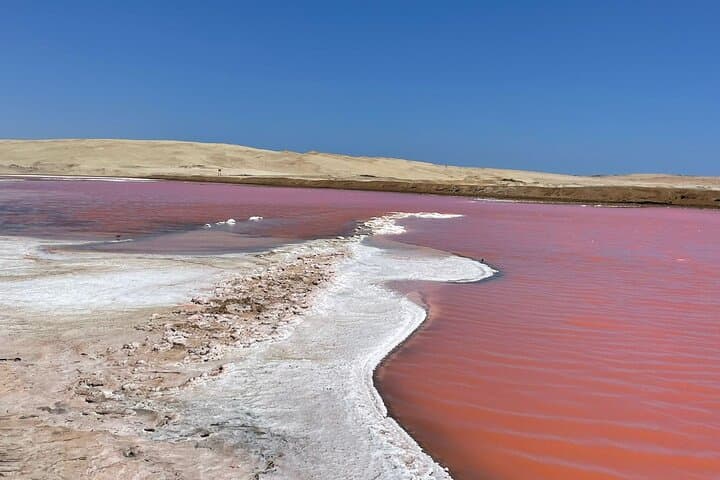טרקים פרימיום בגוונים זהובים