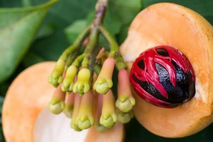 עיר האבן זנזיבר, אי הכלא וסיור התבלינים