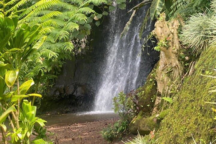 גילוי האי טהיטי נואי